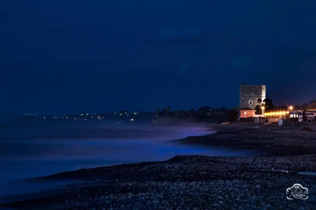 Holiday Homes