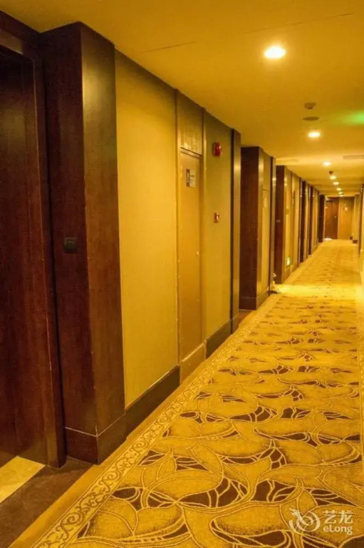 Tamrac International Apartment