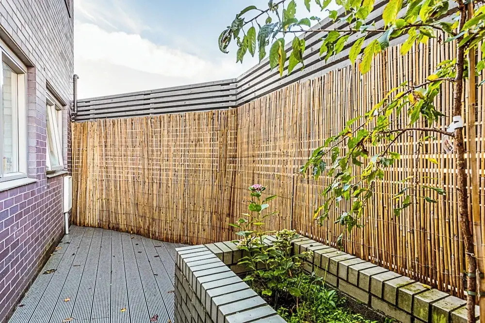 Quiet and Spacious Four Bedroom House