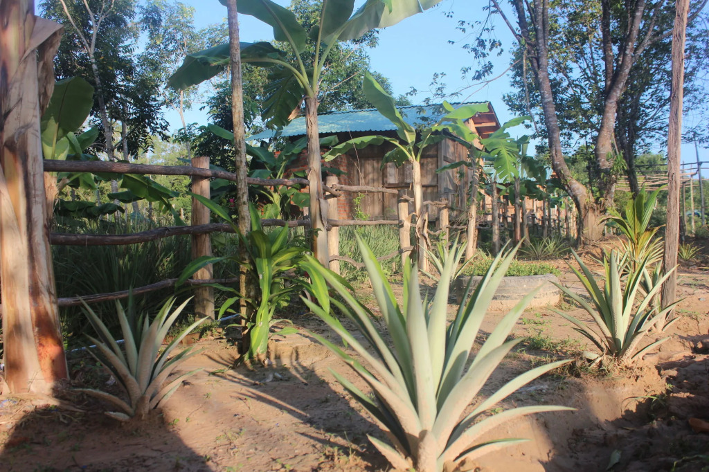 Pepper Farm Phu Quoc Bungalow