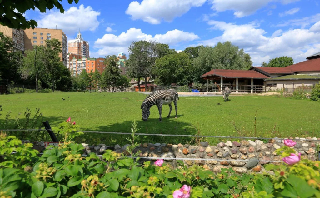 Mini-hotel Elephant