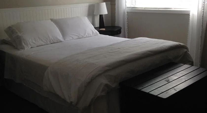 The Purple Frog Bed & Breakfast