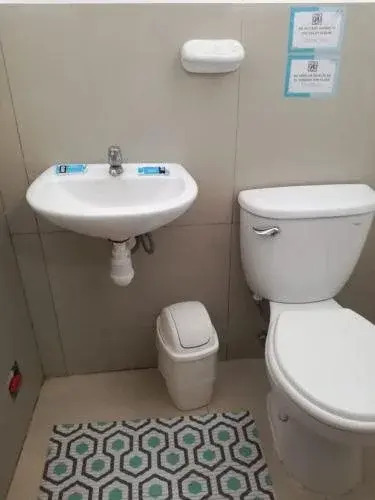 PiscoMar Peru