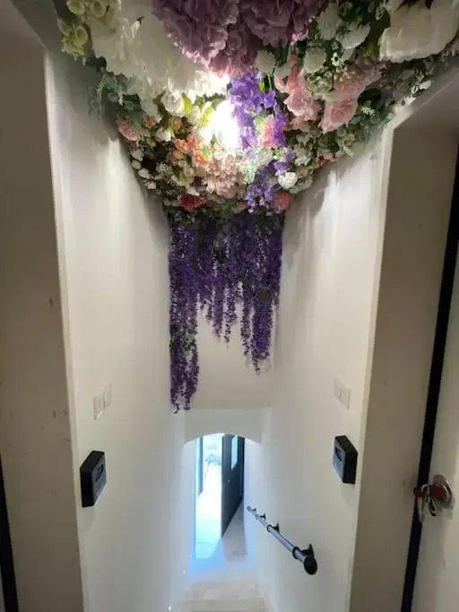 23_26 B&B