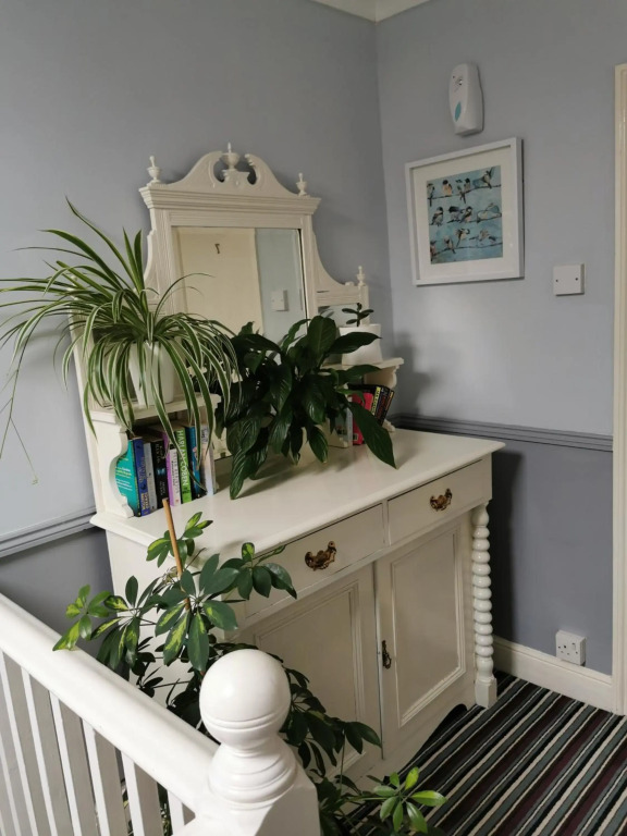 The Elmfield