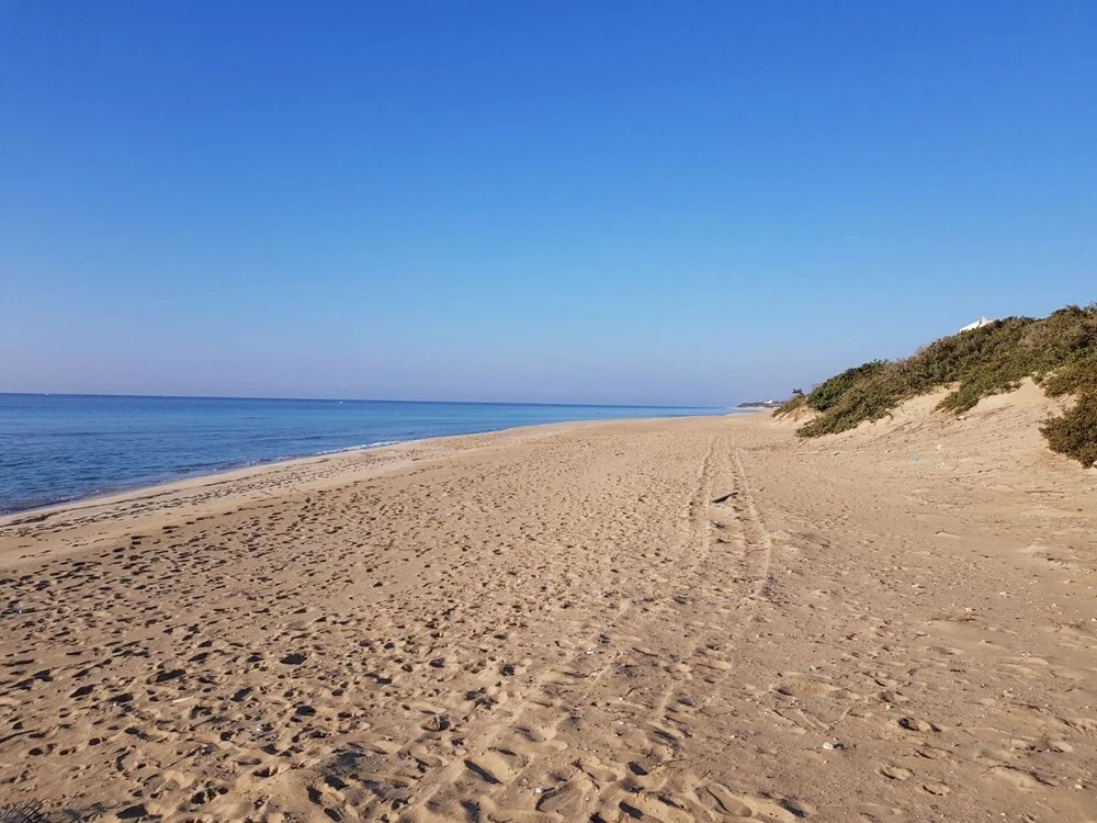 House With one Bedroom in San Pietro In Bevagna, With Furnished Terrac