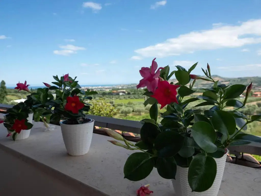 A casa di Sofy