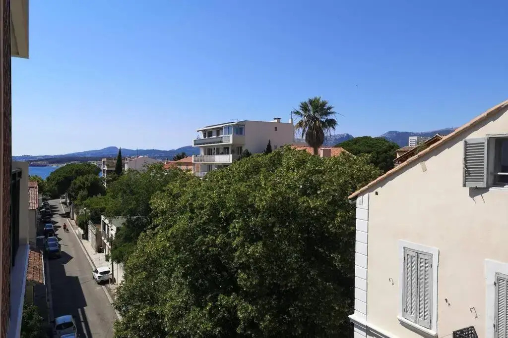Studio Jungle au Mourillon