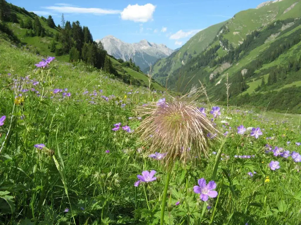 Ferienwohnungen Schlichtherle