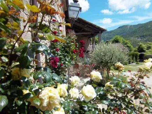 San Godenzo Casa Grande 2