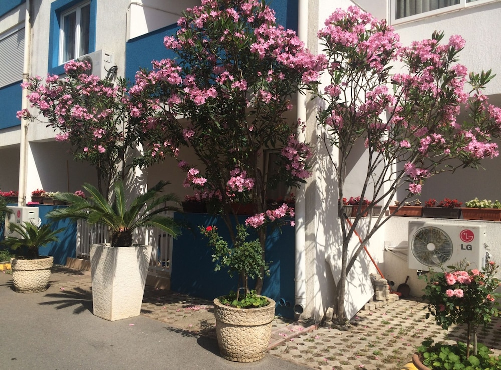 Apartments Aleksić, Bečići