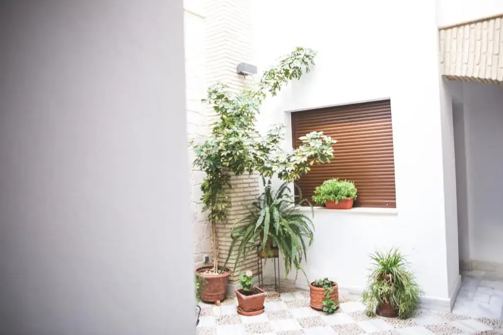La Posada del Momo