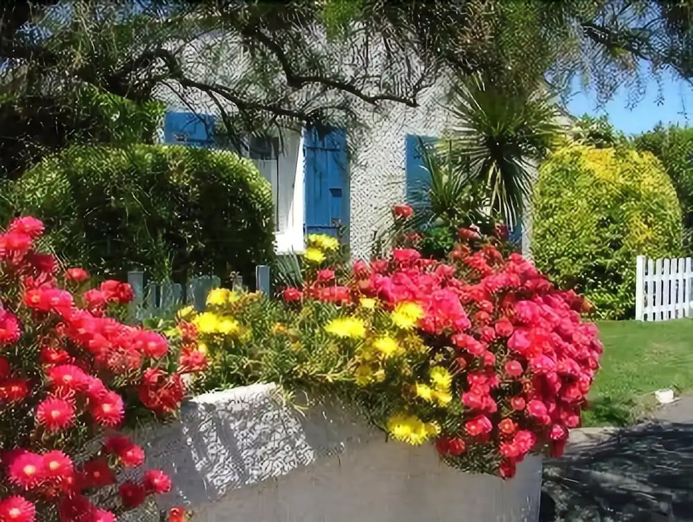 Logis Hôtel de la Plage