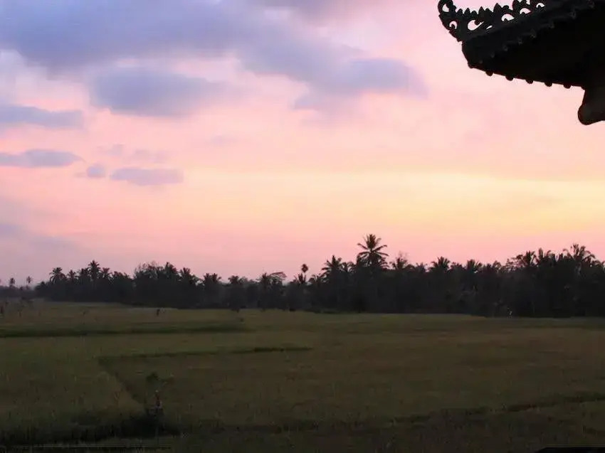 Villa Mangku in Ricefield