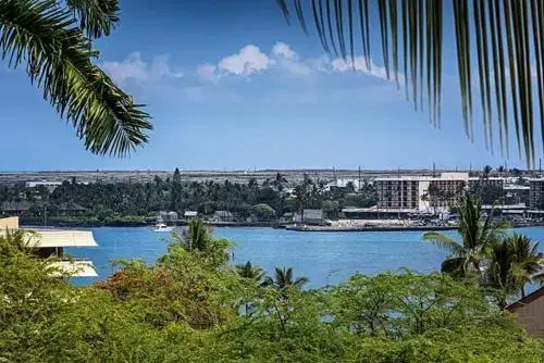 Kona Pacific B409