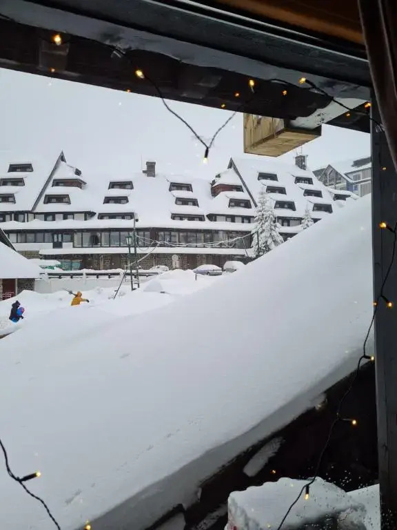 Apartman Brvenik 103, Konaci, Kopaonik