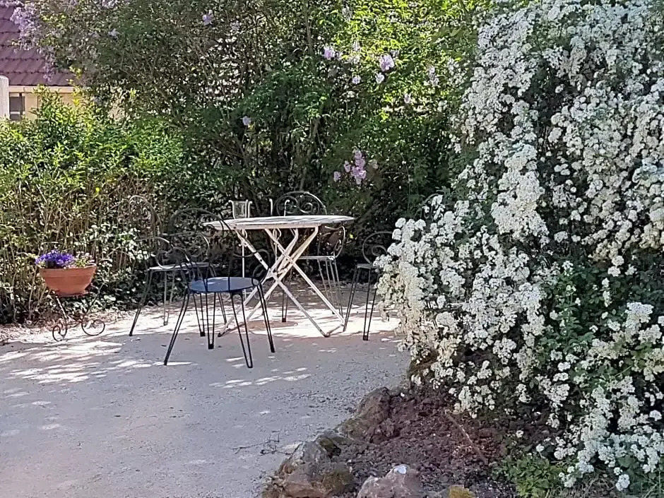 La Vigne