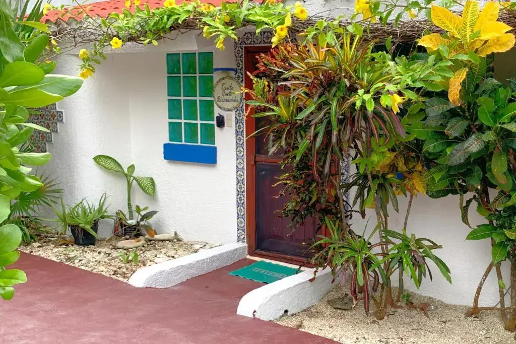 Beautiful & Cozy Studio in Akumal Paradise-Wifi, AC