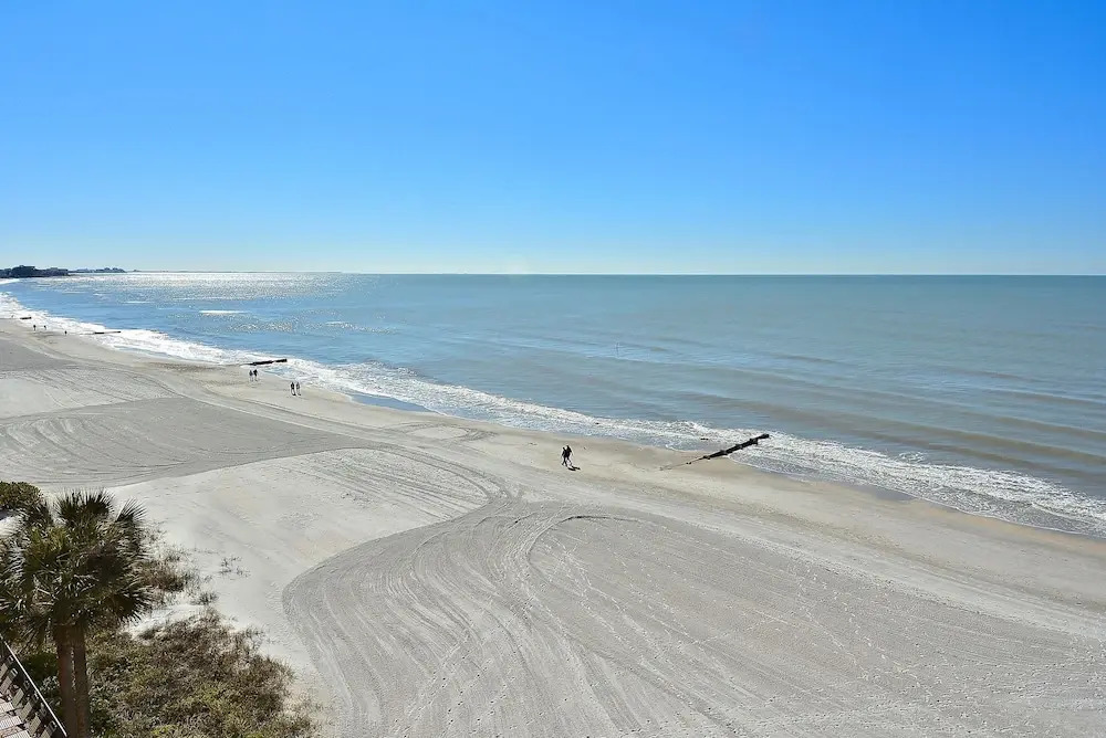The Cottages at Madeira Beach/sea Turtle