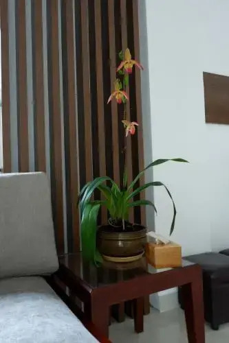 Minh Chi Hotel