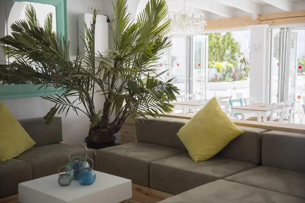 ENDLSS BEACH & DISCO HOTEL IBIZA Adults Only