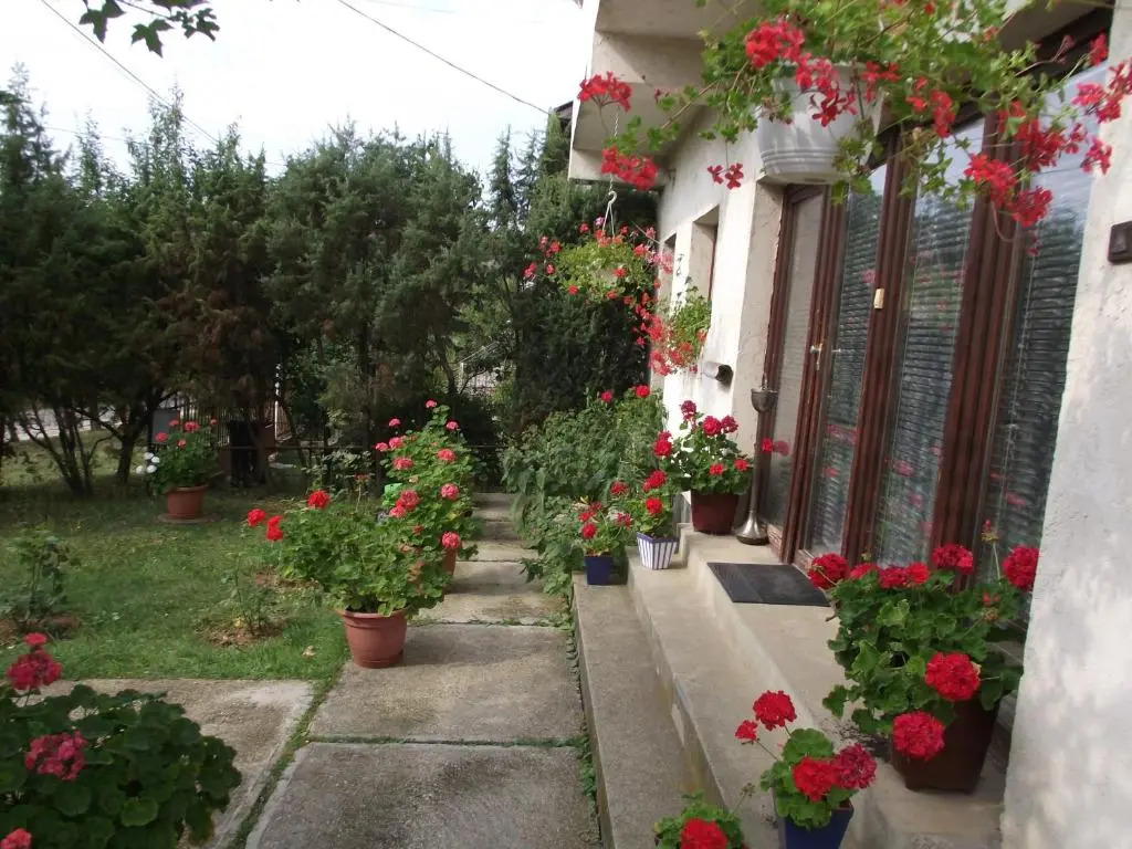 Bárka Vendégház Aggtelek