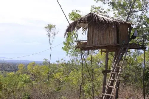 Rumah Pohon
