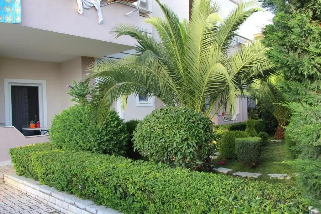Vila Mateo