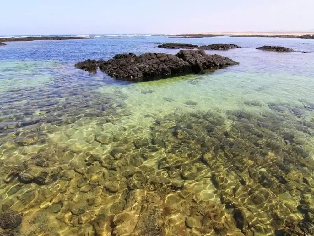 Bravo´s Aparment Cotillo 3