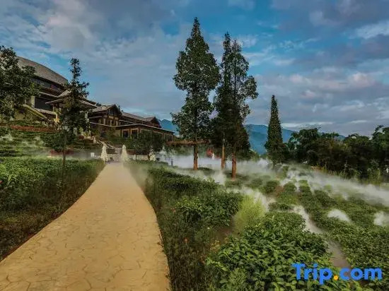Tianyi Tea Homestay