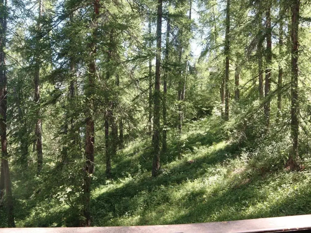 Appartement Les Orres, 1 pièce, 4 personnes - FR-1-322-289