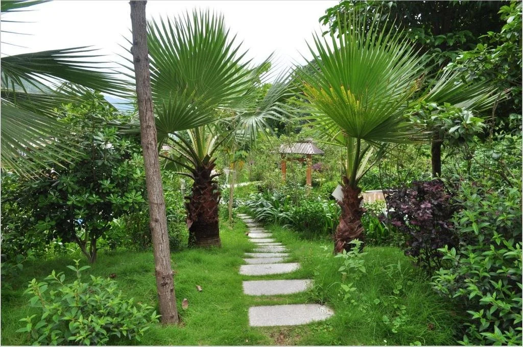 Xinfeng Utop Spring Primeval Forest Resorts
