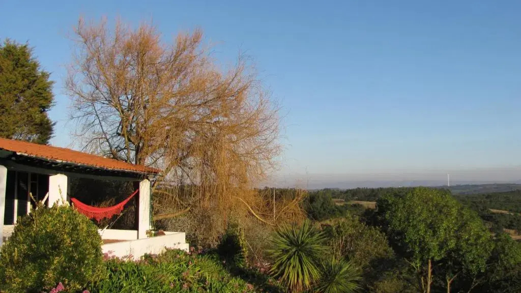 Casa dos Mangues