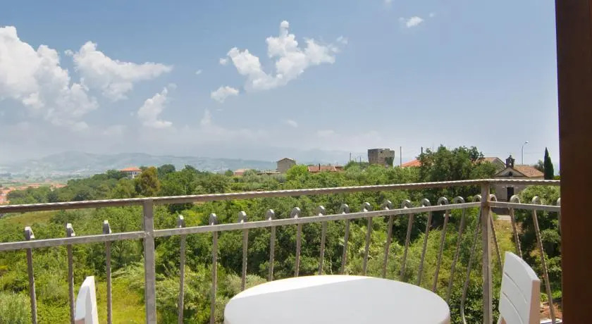 Dominella 2