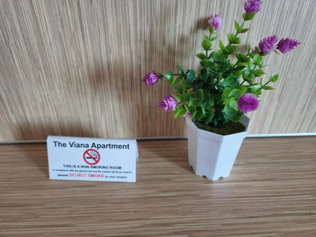 The Viana Apartment 3