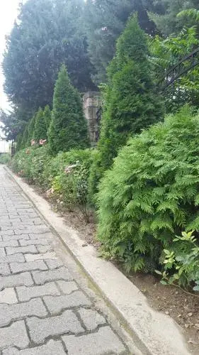 Hotel Satelit Kumanovo