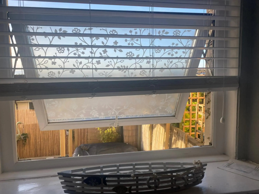 The garden flat