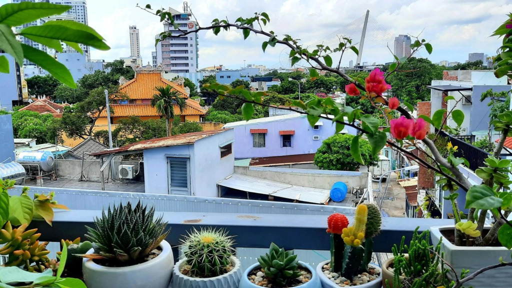Sena home1*Overlooking Danang Dragon bridge