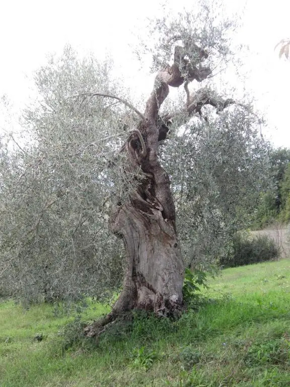Casa l'Arcobaleno