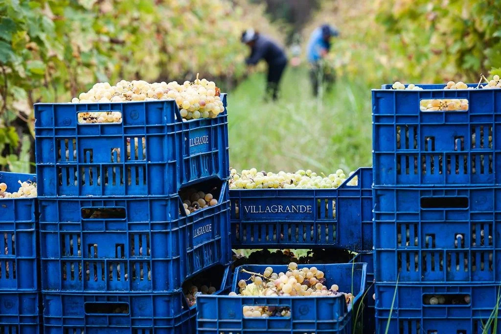 Wine Resort Villagrande