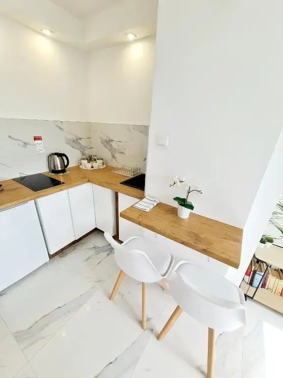 Apartament LAKE z widokiem na jezioro