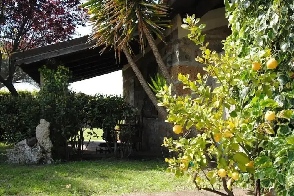Tenuta Di Pontesodo