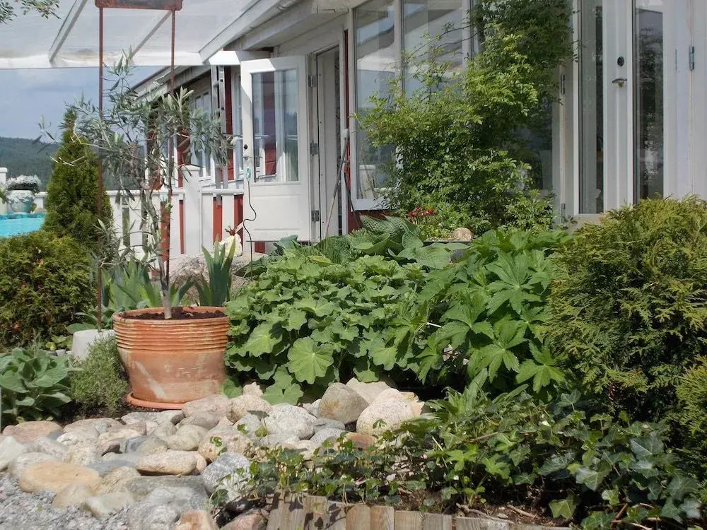 Chinova Mötesgård i Järvsö