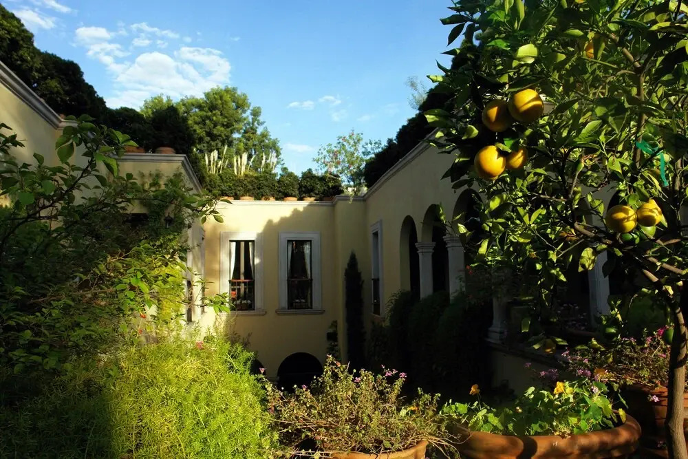 Casa Misha