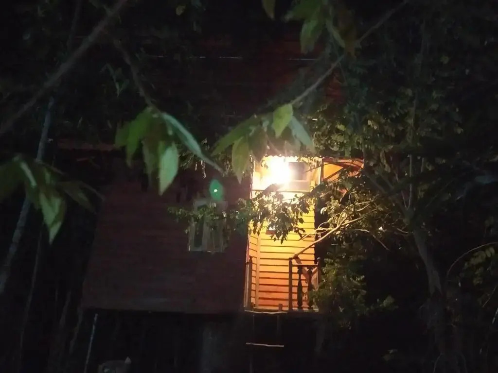 Tree House-Midigama