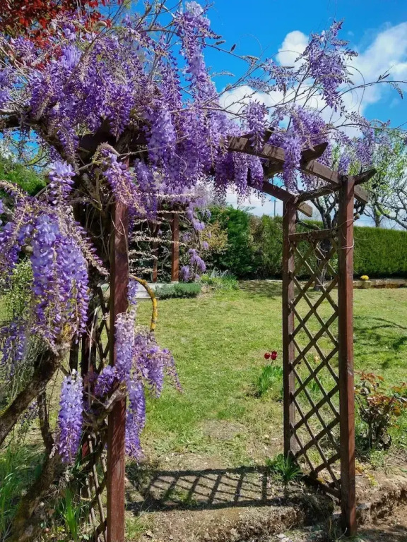 La Colline - Chambre dhôtes - B&B