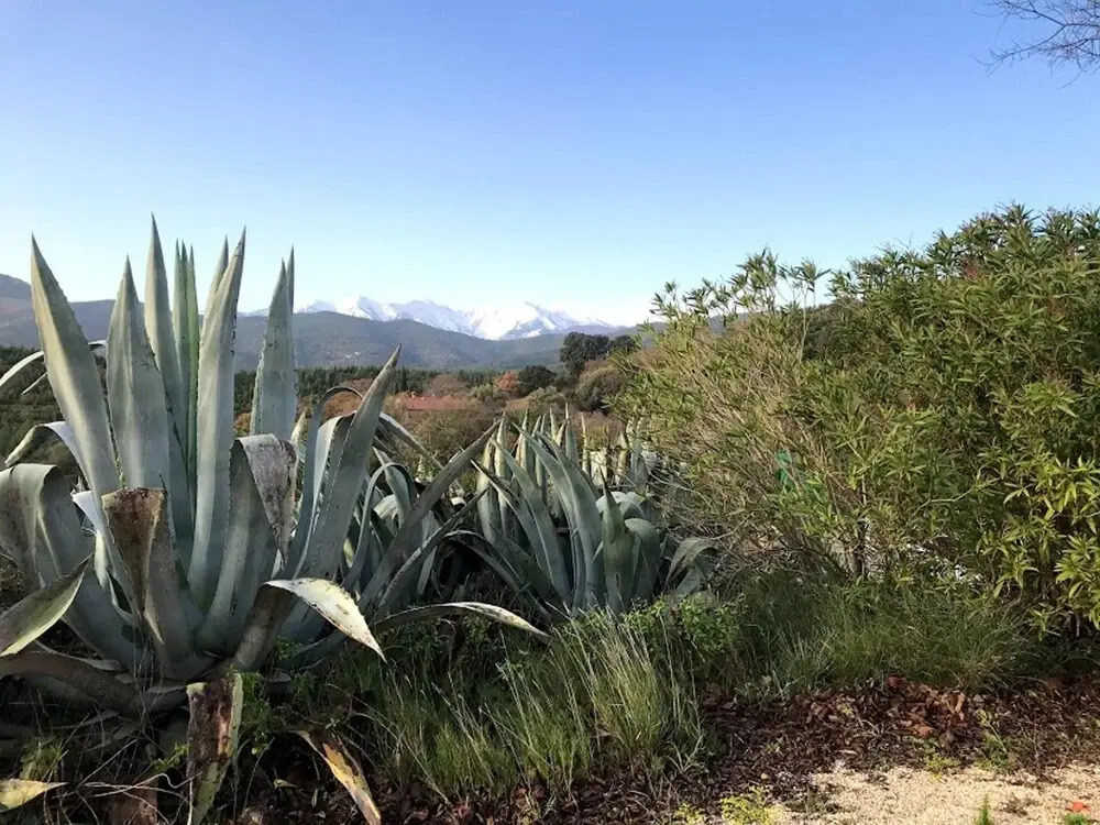 Villa With 3 Bedrooms in Castelnou, With Wonderful Mountain View, Shared Pool, Enclosed Garden
