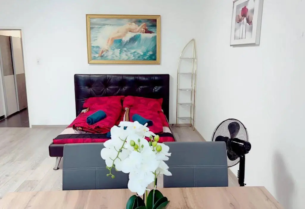 Luxury Apartment 1020