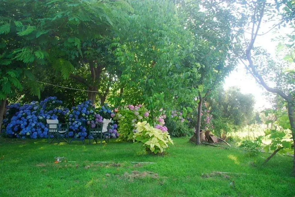 Alekas Studios
