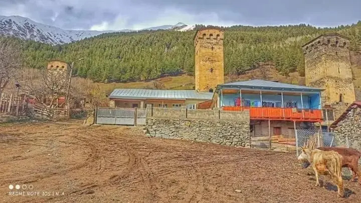 Amo's cafe and hut
